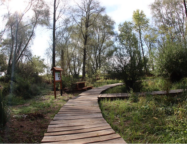 NAUČNÁ STEZKA PÍSÁK JIZBICE